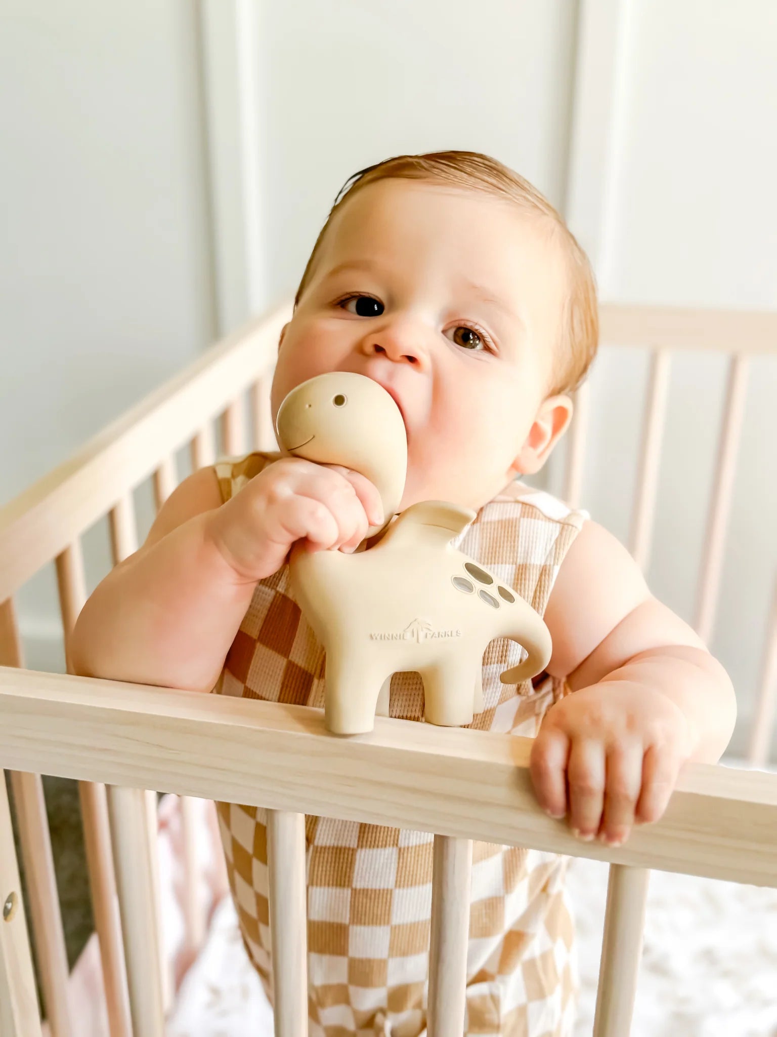 Winnie Parkes Diplo the Dino-Dragon Teether