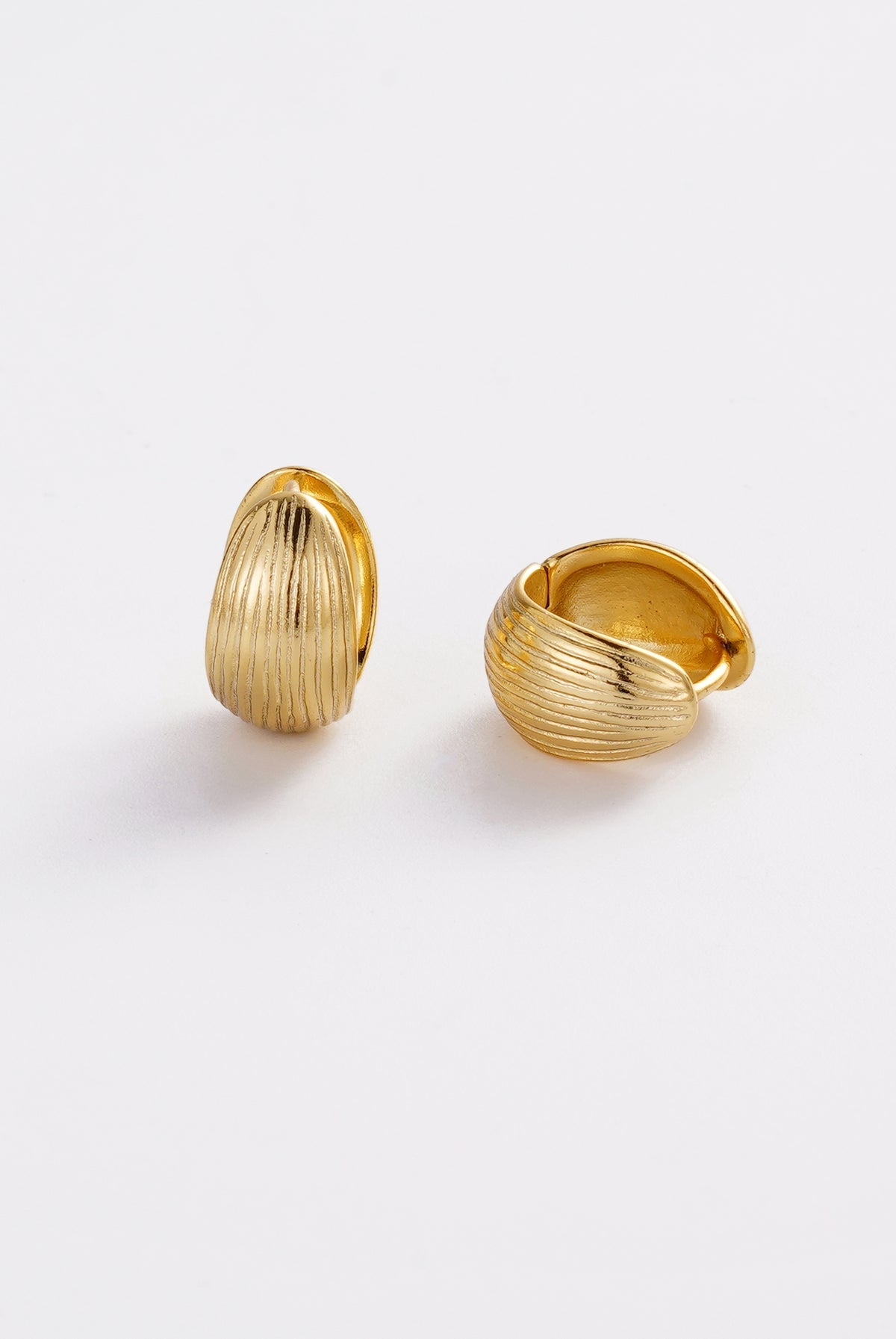 Zafino Gia Hoop