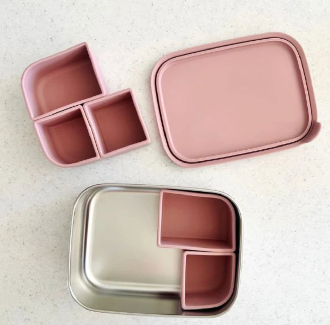 Cuddle Bug & Co - Bento Box With Silicone Dividers - Assorted