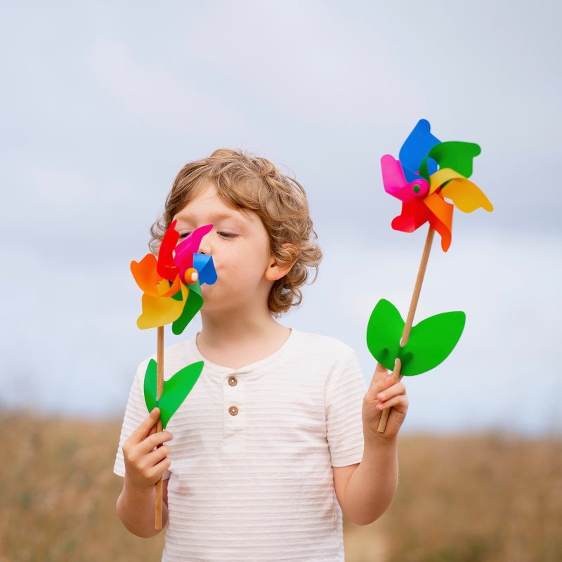 Whirly Windmills Cino 16cm Pinwheel