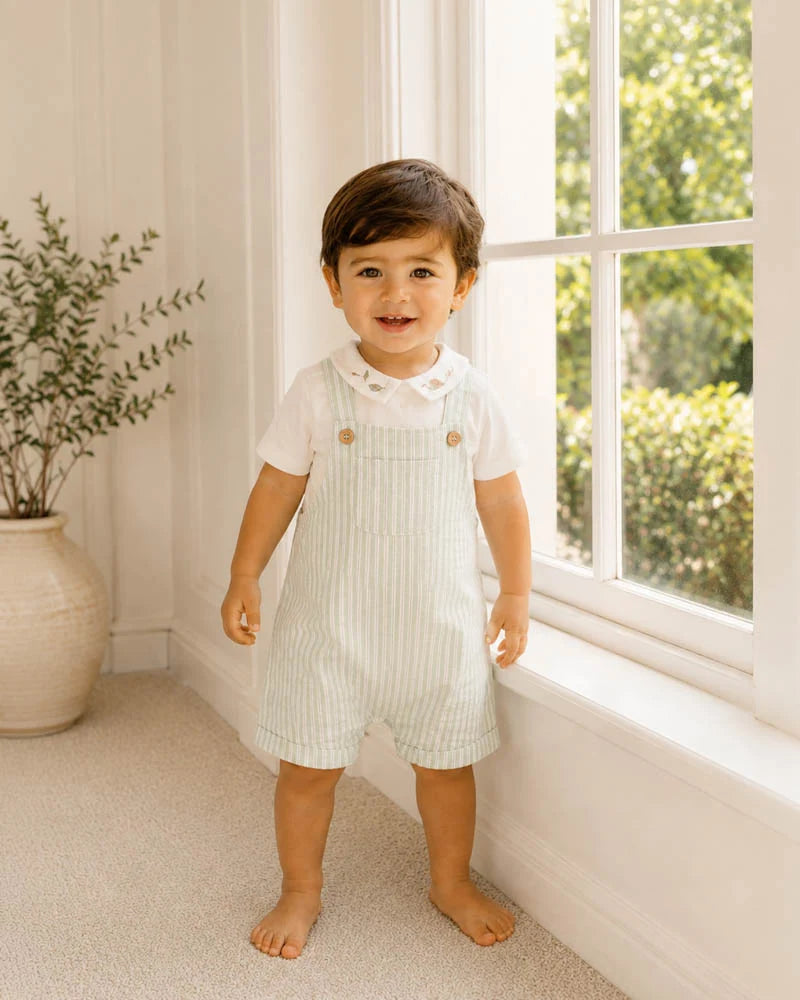 Bebe Evan Green Stripe Overalls
