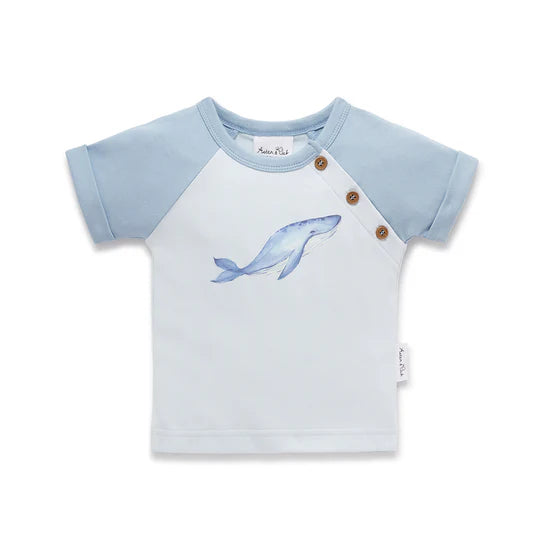 Aster and Oak Whale Print Raglan Tee