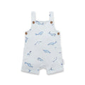 Aster and Oak Under The Sea Henley Overalls