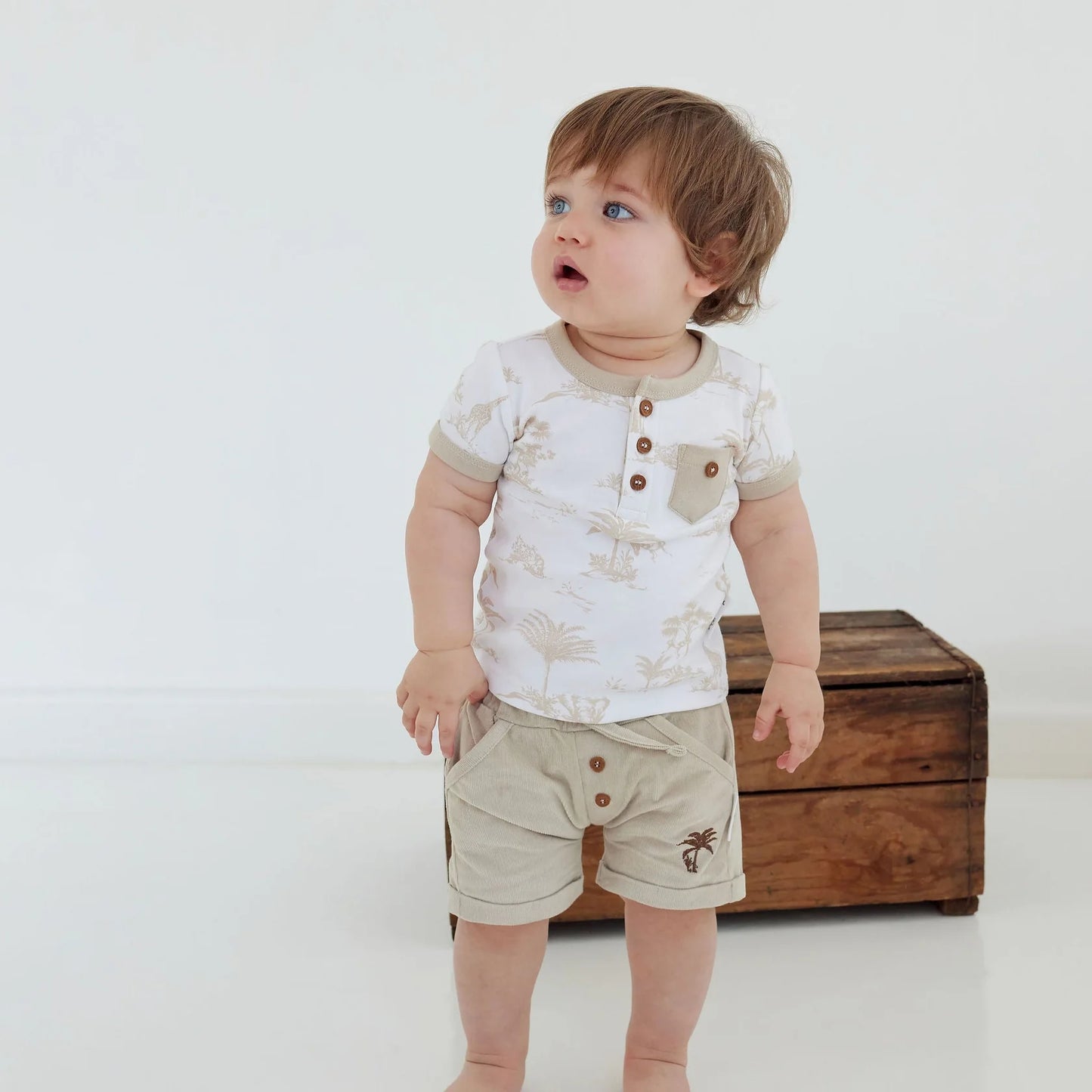 Aster & Oak - Sand Corduroy Shorts