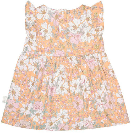Toshi Baby Dress Yasmin