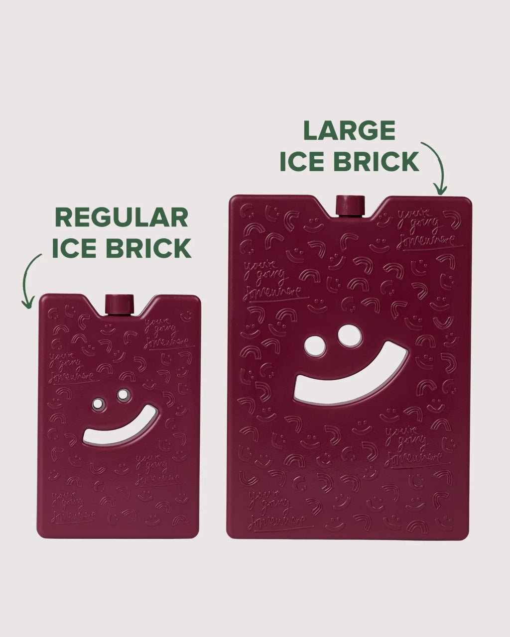 The Somewhere Co Large Ice Brick