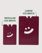 The Somewhere Co Large Ice Brick