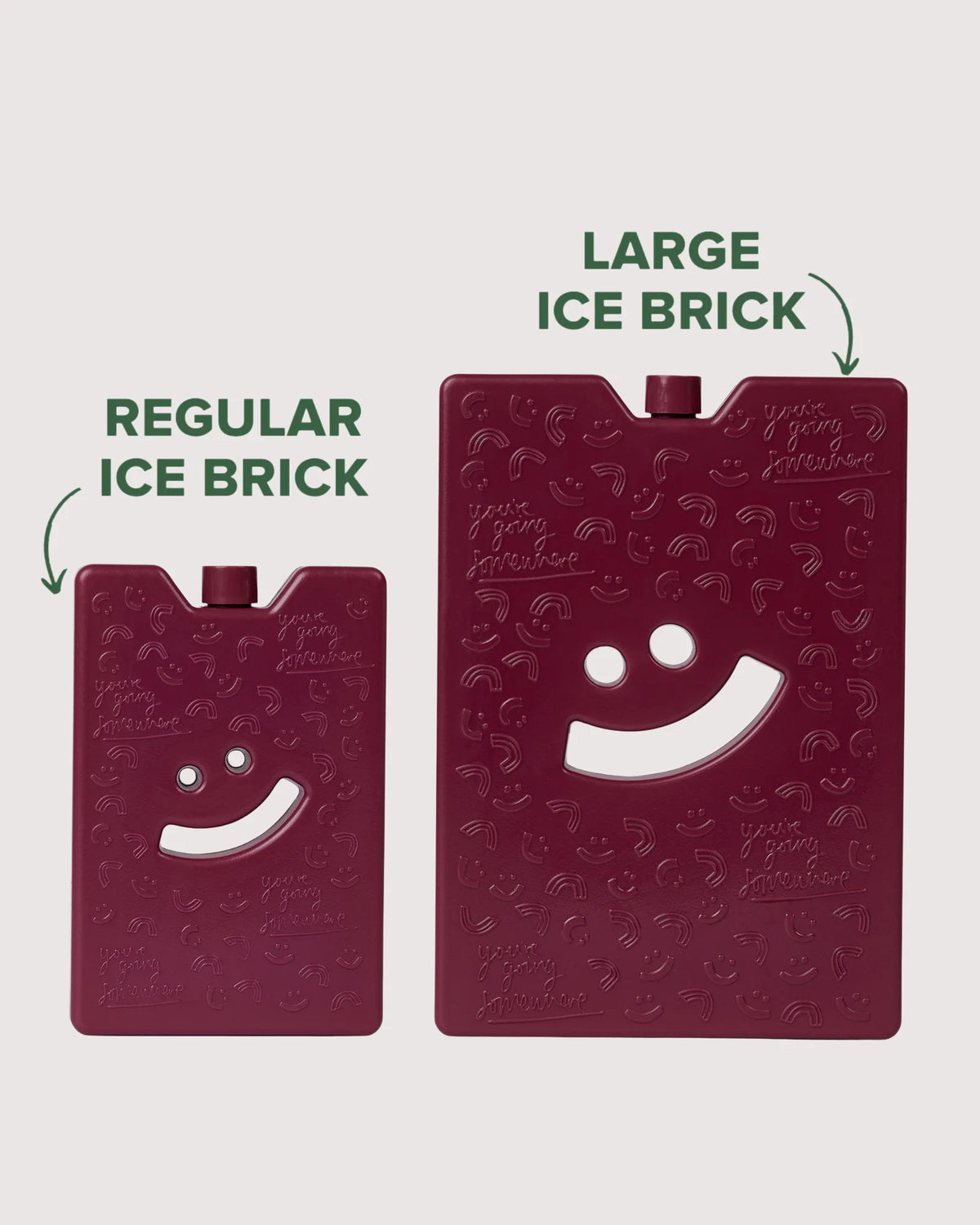 The Somewhere Co Large Ice Brick