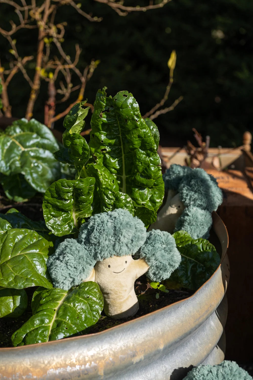 Nana Huchy Bro Broccoli - The green Friend
