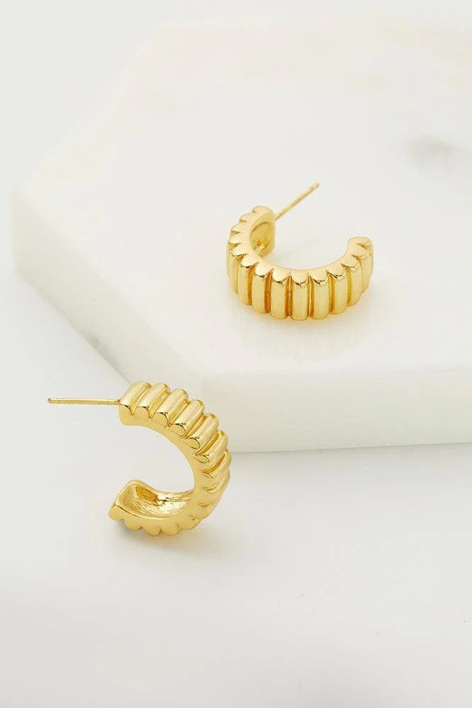 Zafino Alex Hoop Gold Earrings