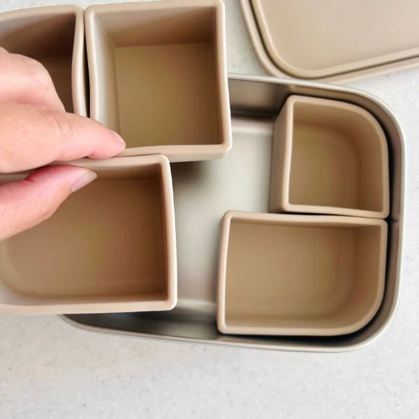 Cuddle Bug & CO - Bento Box With Silicone Dividers - Assorted