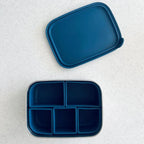 Cuddle Bug & CO - Bento Box With Silicone Dividers - Assorted