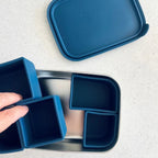 Cuddle Bug & CO - Bento Box With Silicone Dividers - Assorted