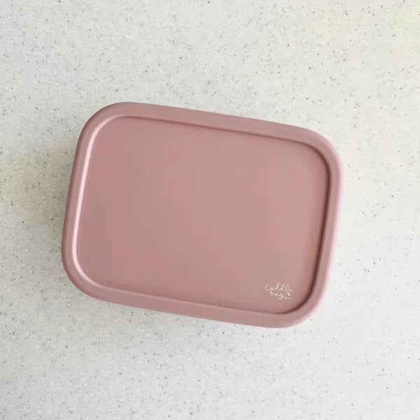 Cuddle Bug & CO - Bento Box With Silicone Dividers - Assorted