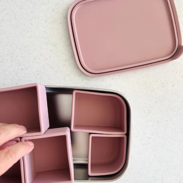 Cuddle Bug & CO - Bento Box With Silicone Dividers - Assorted