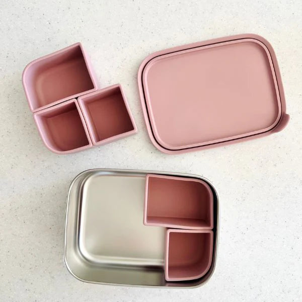 Cuddle Bug & CO - Bento Box With Silicone Dividers - Assorted