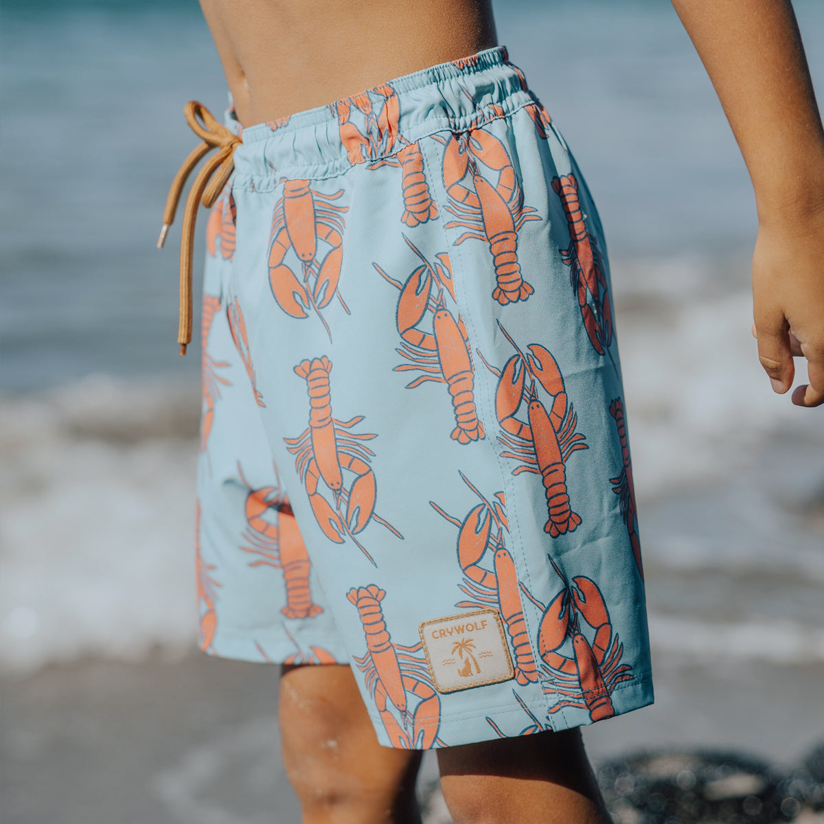 Crywolf Board Short- Assorted