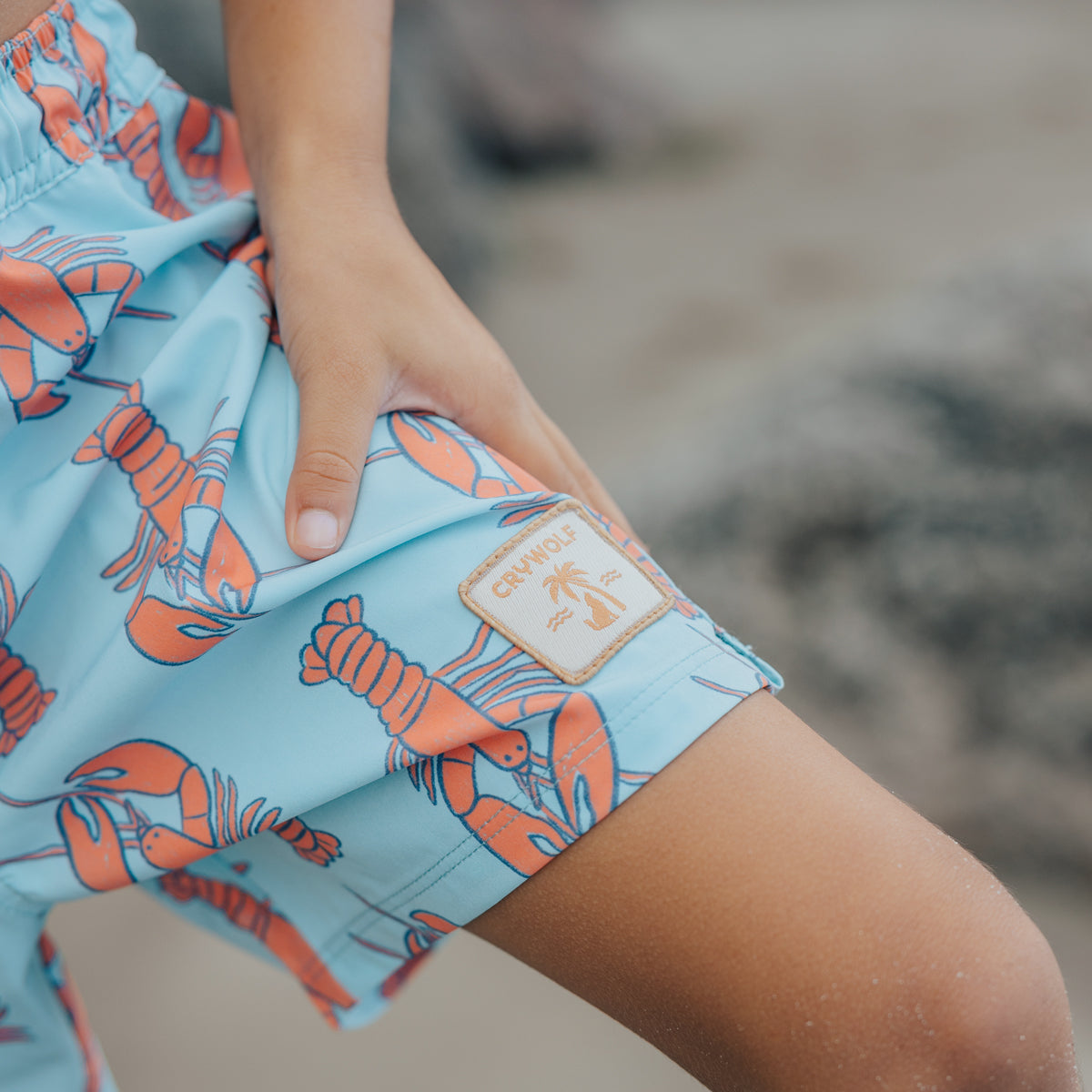 Crywolf Board Short- Assorted