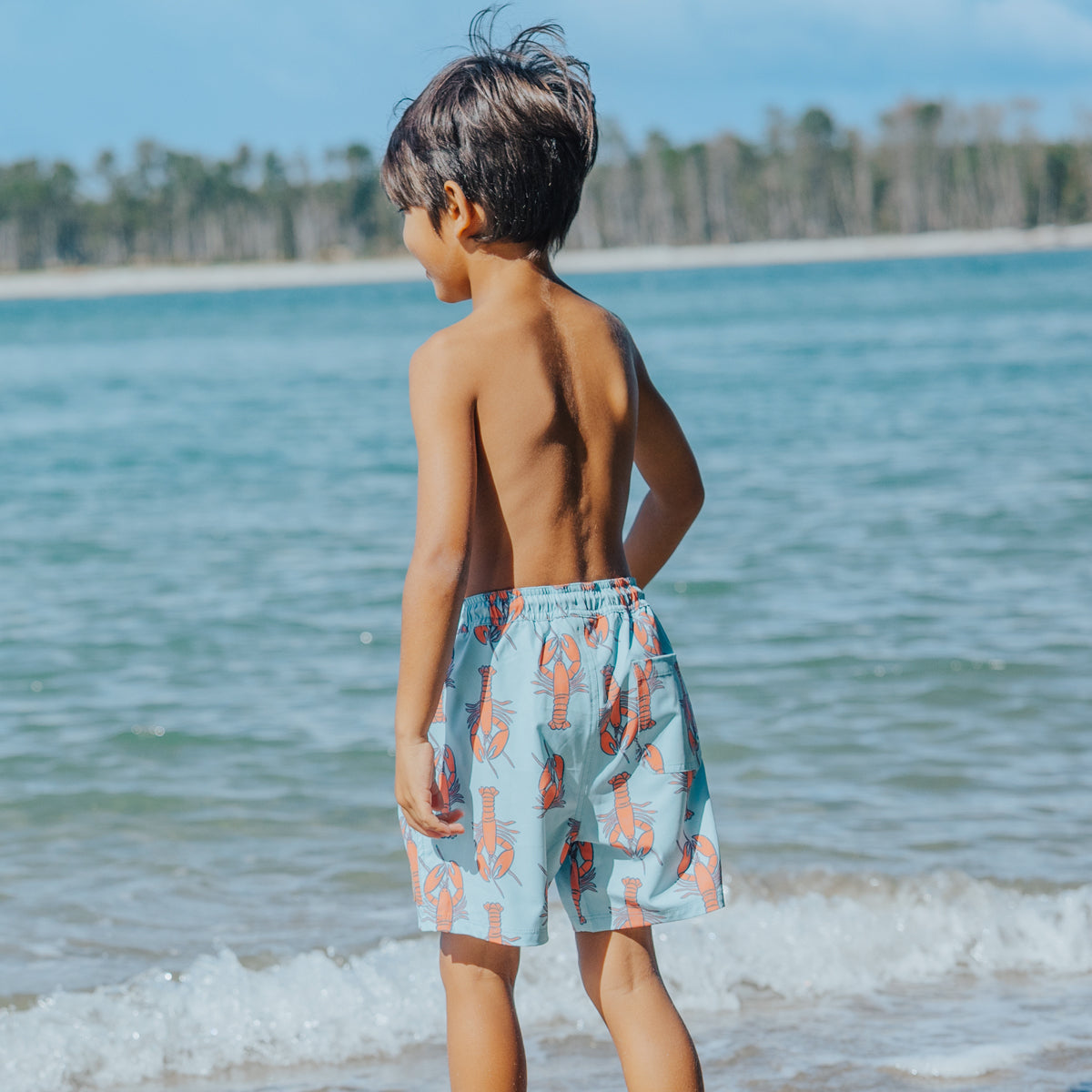 Crywolf Board Short- Assorted