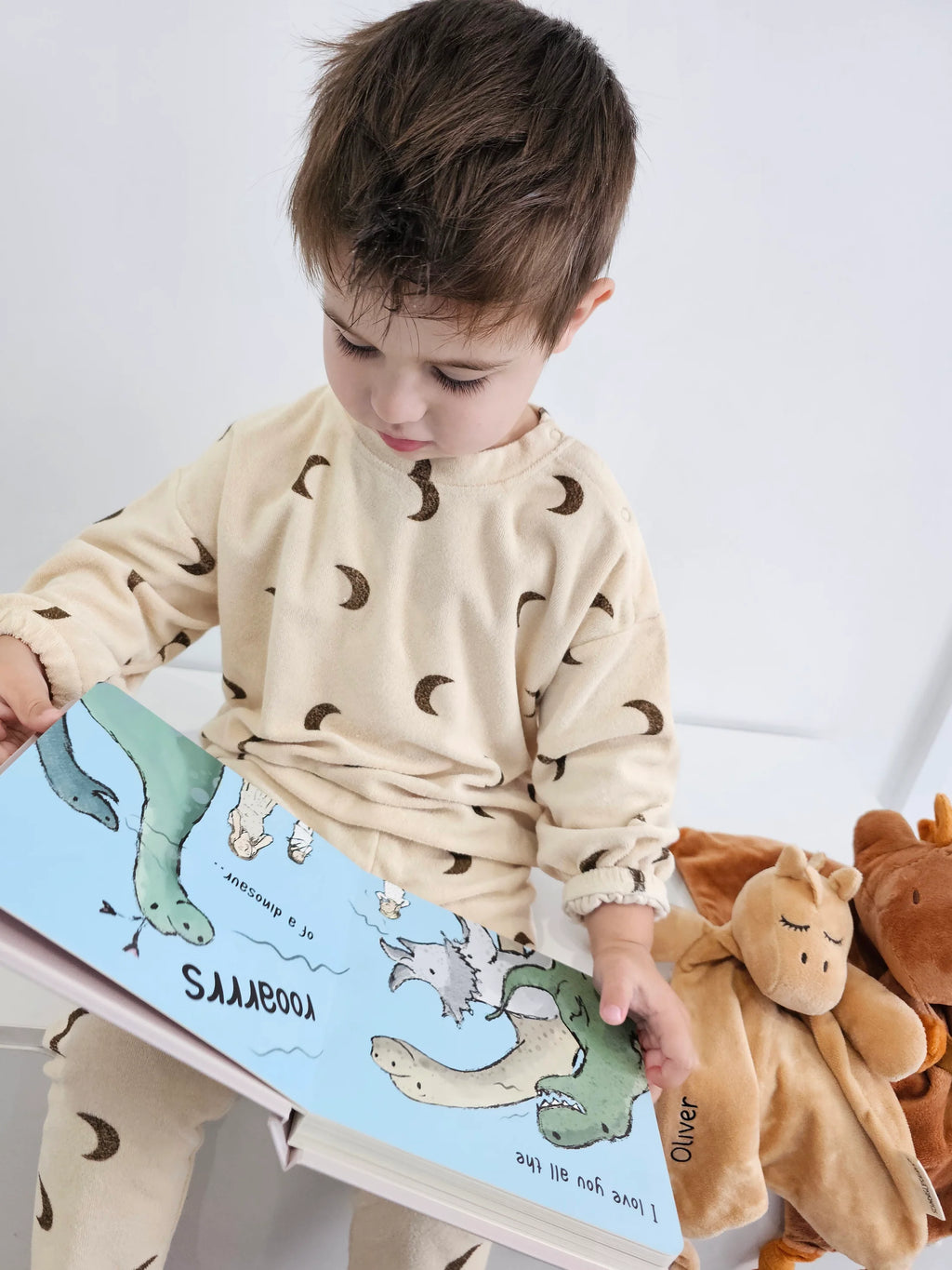 Schnorg Baby Love You all the Roars Book