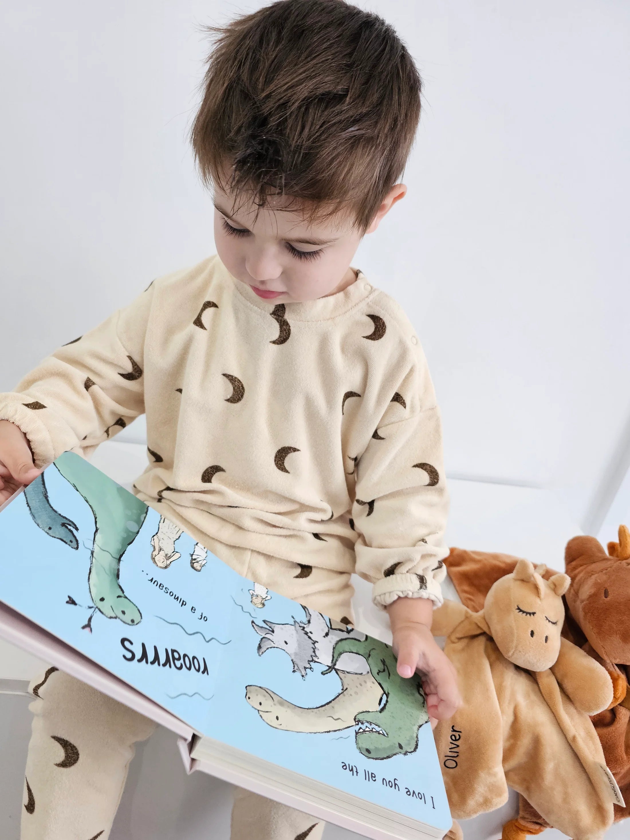 Schnorg Baby Love You all the Roars Book