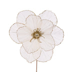 Holly & Ivy - Sheer Camellia - Assorted