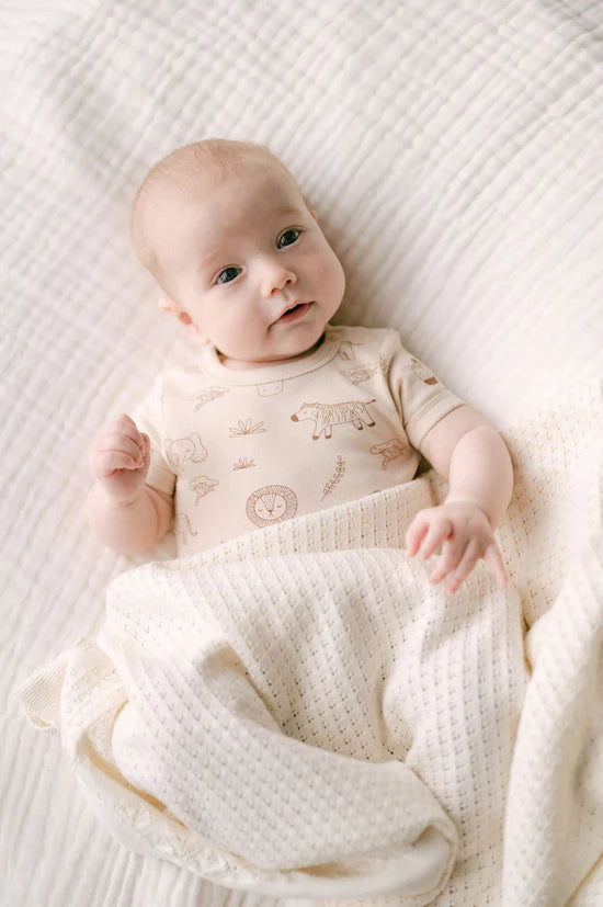 Aster & Oak - Safari Adventure Onesie