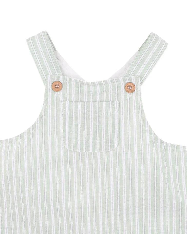 Bebe Evan Green Stripe Overalls