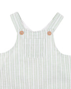 Bebe Evan Green Stripe Overalls