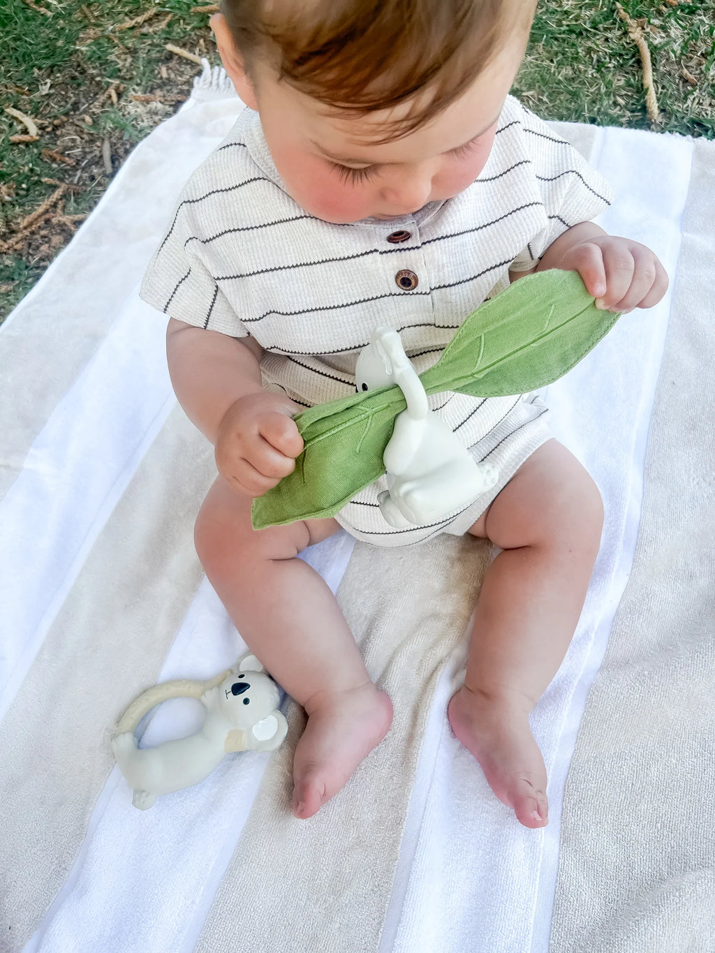 Winnie Parkes Banks the Koala Teething, Rattle & Scrunch