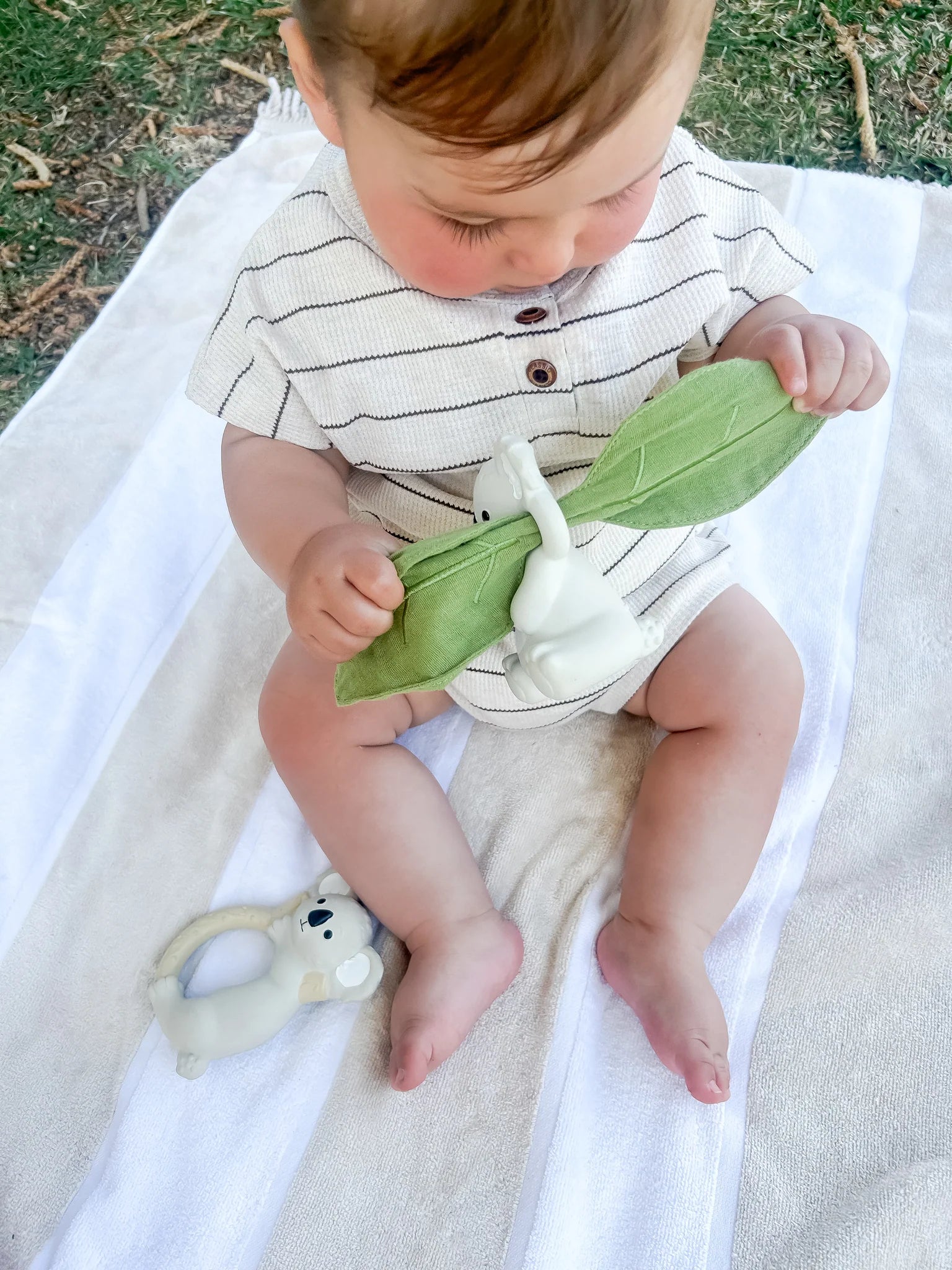 Winnie Parkes Banks the Koala Teething, Rattle & Scrunch