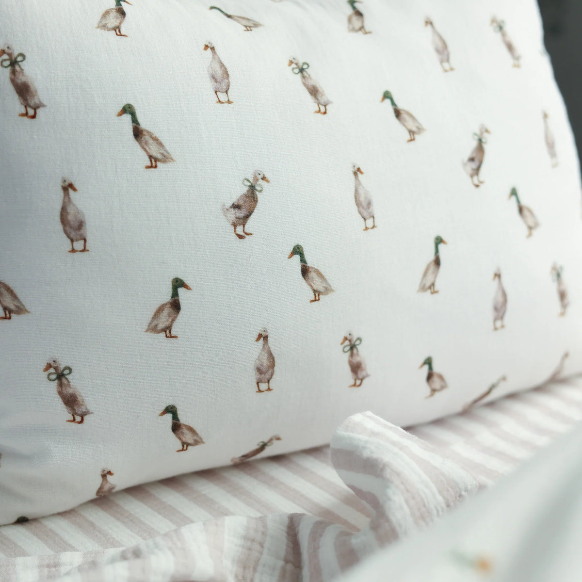 Fledge & Thread Cushion