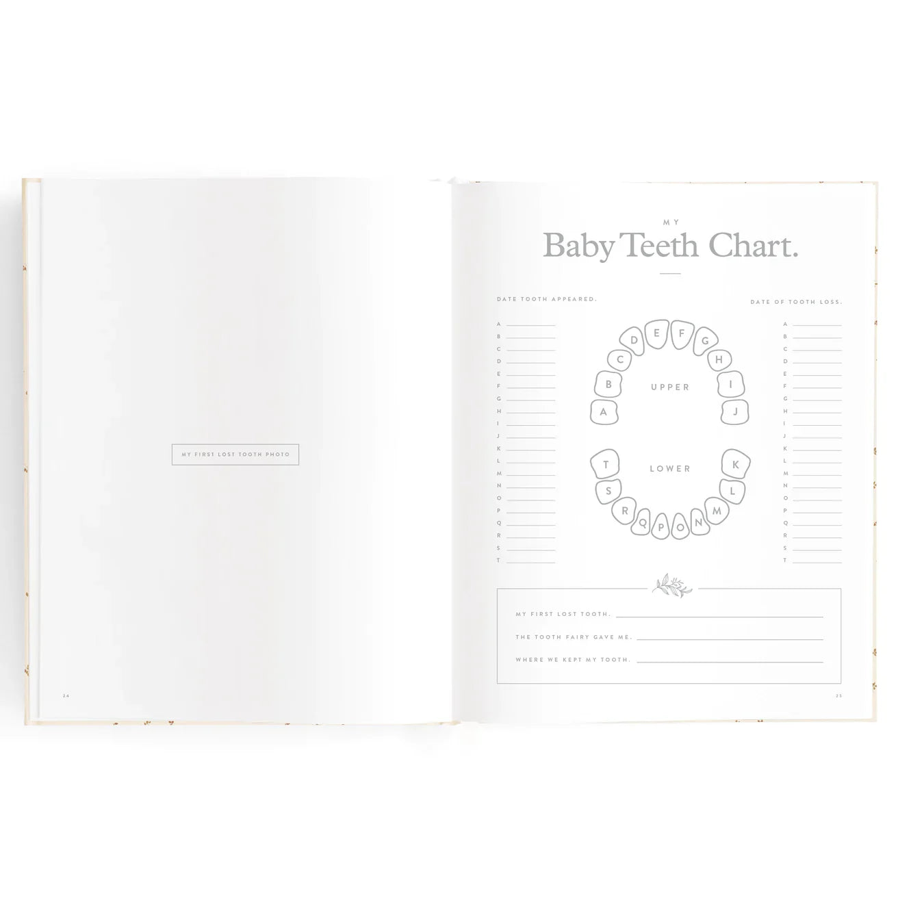 Fox & Fallow Baby Book Daisy Grid Boxed