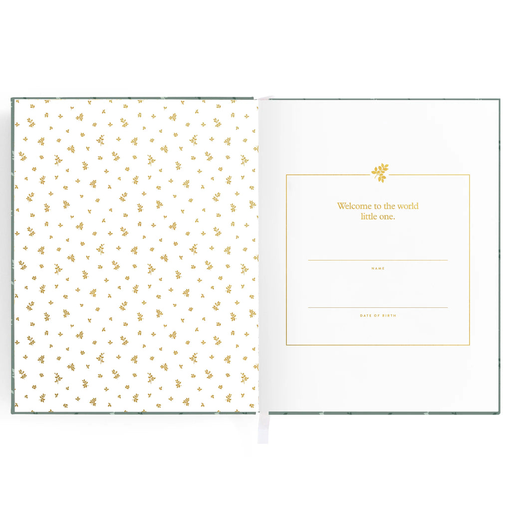 Fox & Fallow Boxed Baby Book Pine