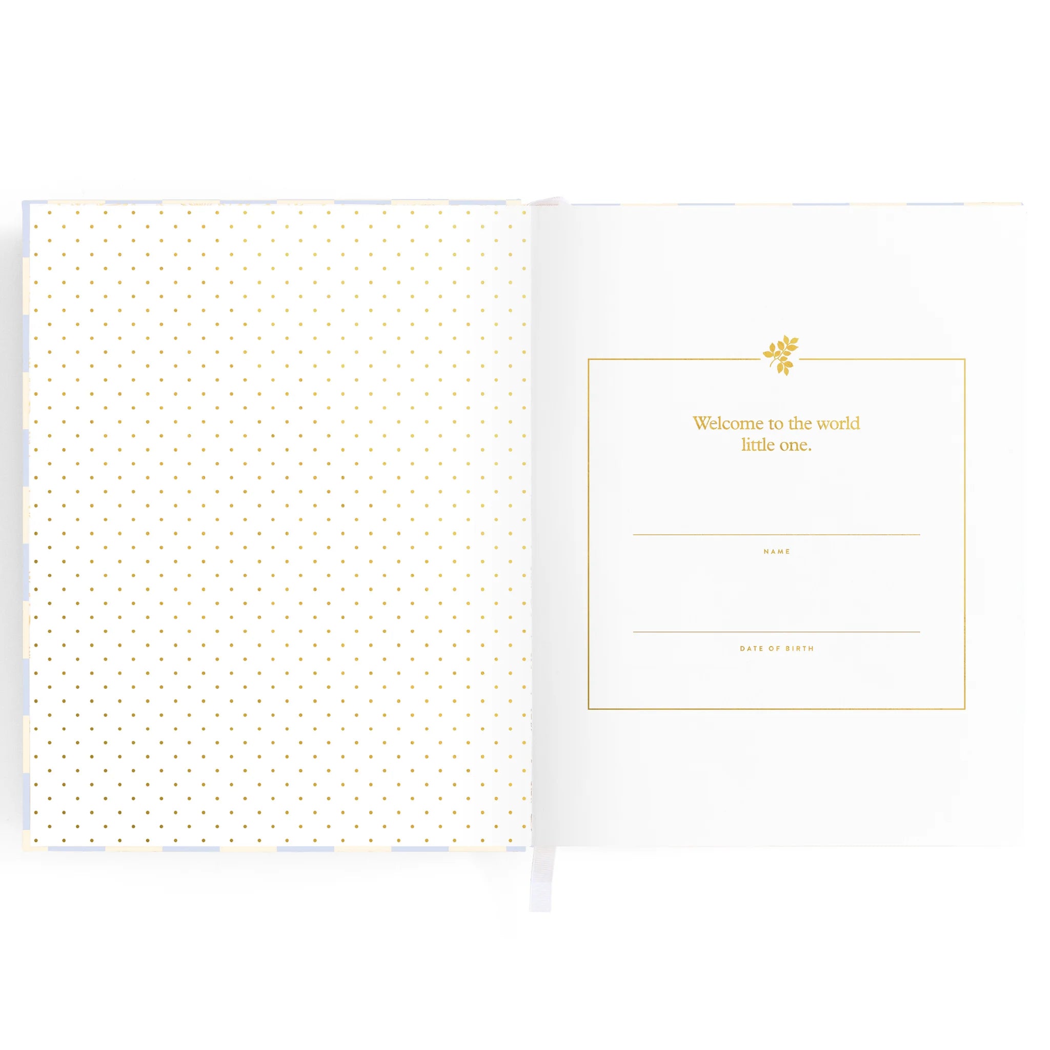 Fox & Fallow Baby Book Blue Check Boxed