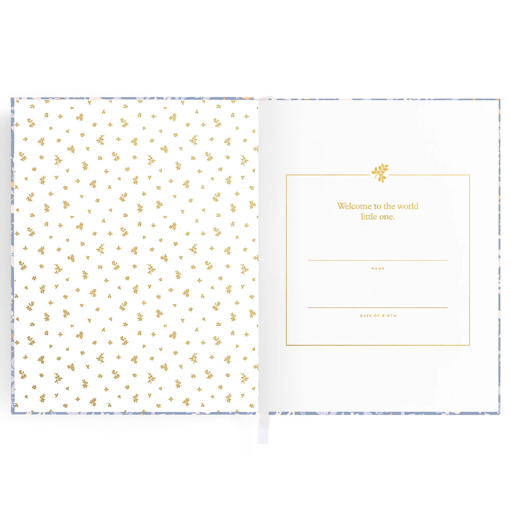 Fox and Fallow Baby Book Forest Friends Cornflour Blue Boxed