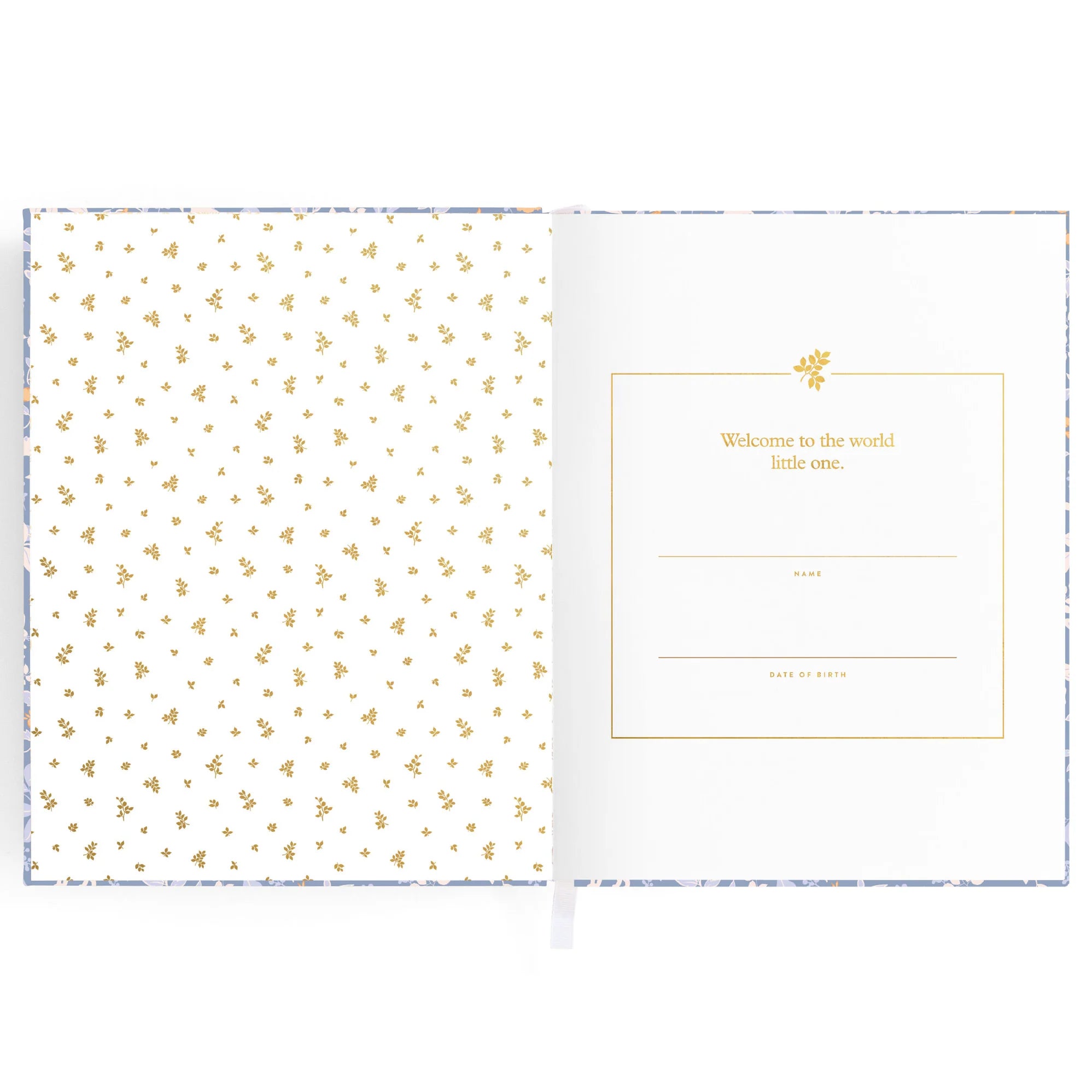 Fox and Fallow Baby Book Forest Friends Cornflour Blue Boxed