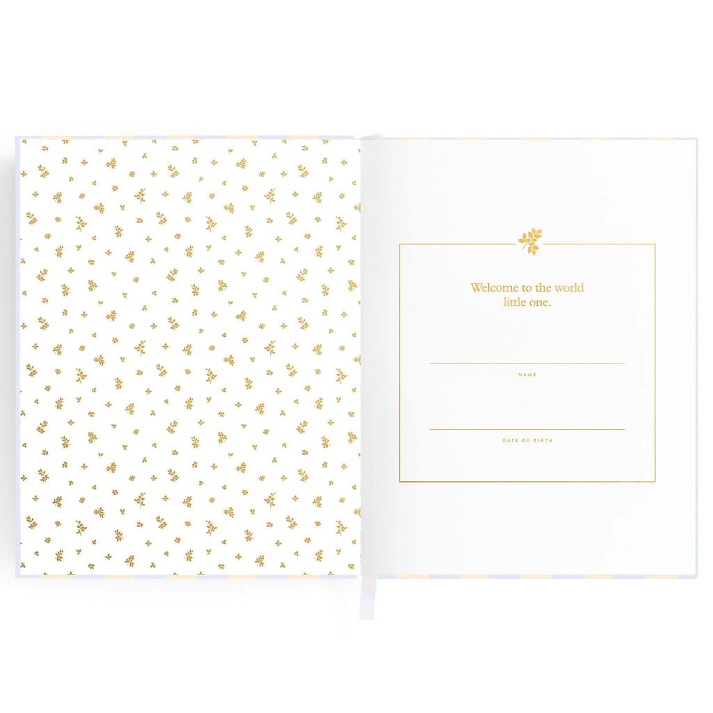 Fox and Fallow Baby Book Cloud Stripe Boxed