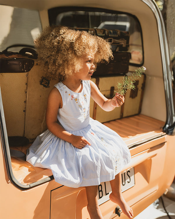 Fox & Finch Songbird Stripe Embroidered Cross Back Dress