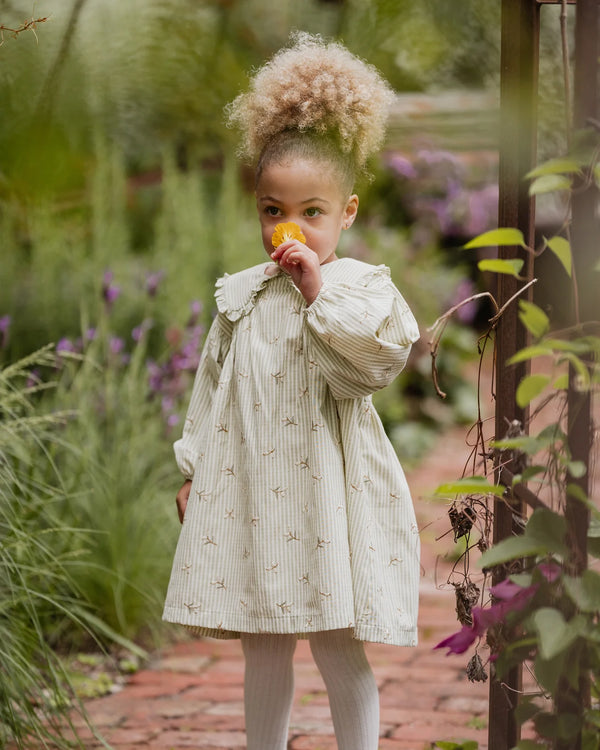 Fox & Finch Orchard Bloom Emb. Stripe Dress
