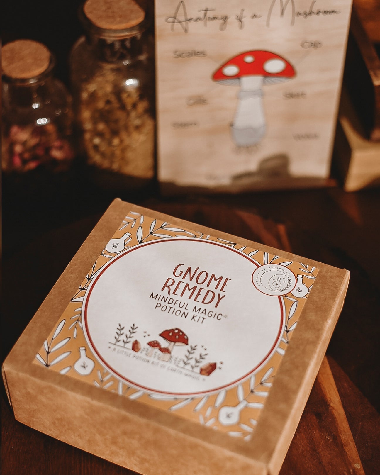 The Little Potion Co. Gnome Remedy - Mindful Potion Kit