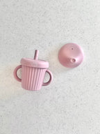 Cuddle Bug & Co Silicone Stainless Sippy Cup With Spout and Straw Lid - Assorted