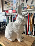 Jones & Co Ceramic Bunny Money Box - Assorted