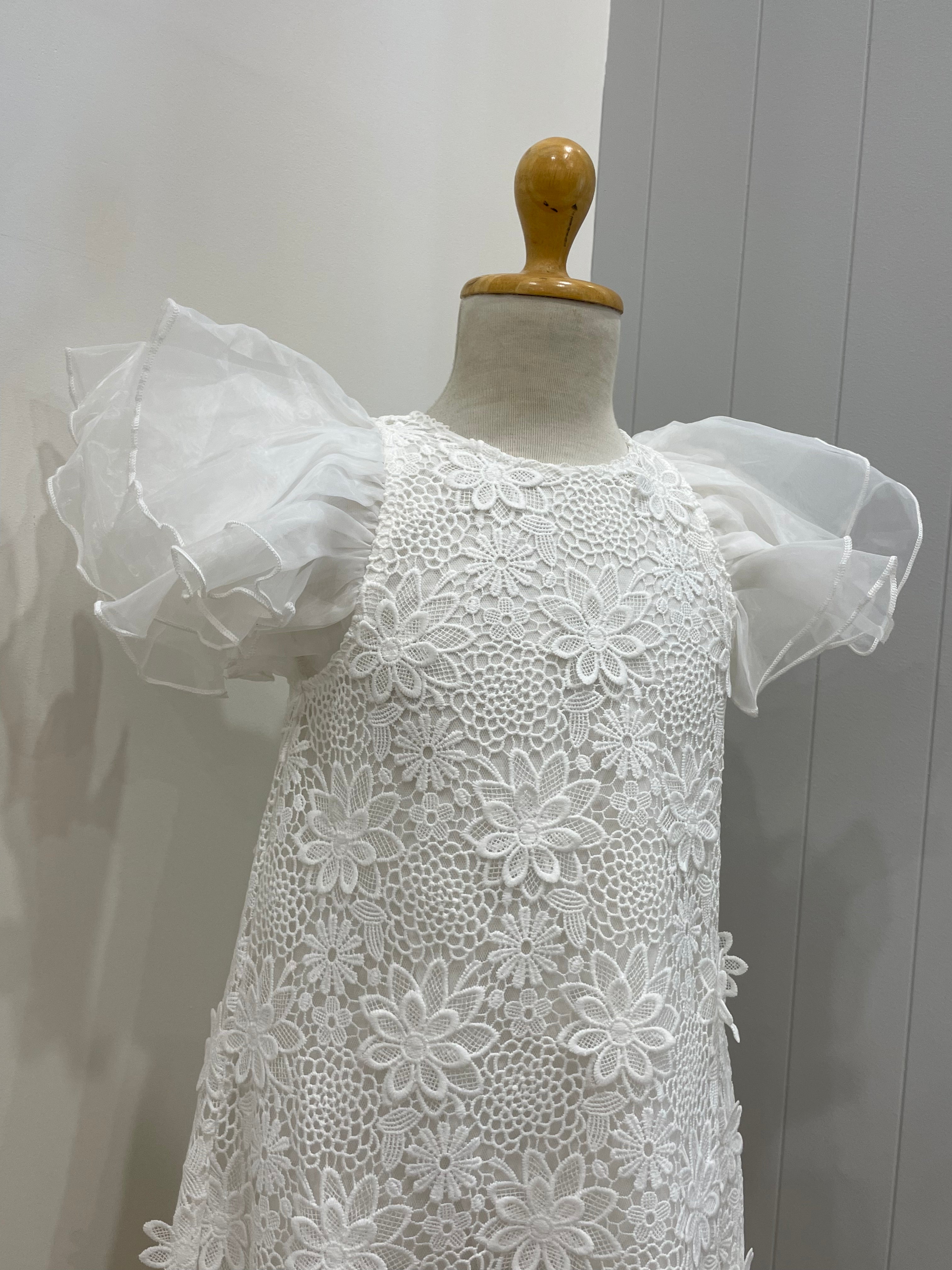 Petite Amalie Lace Dress with Organza Sleeves