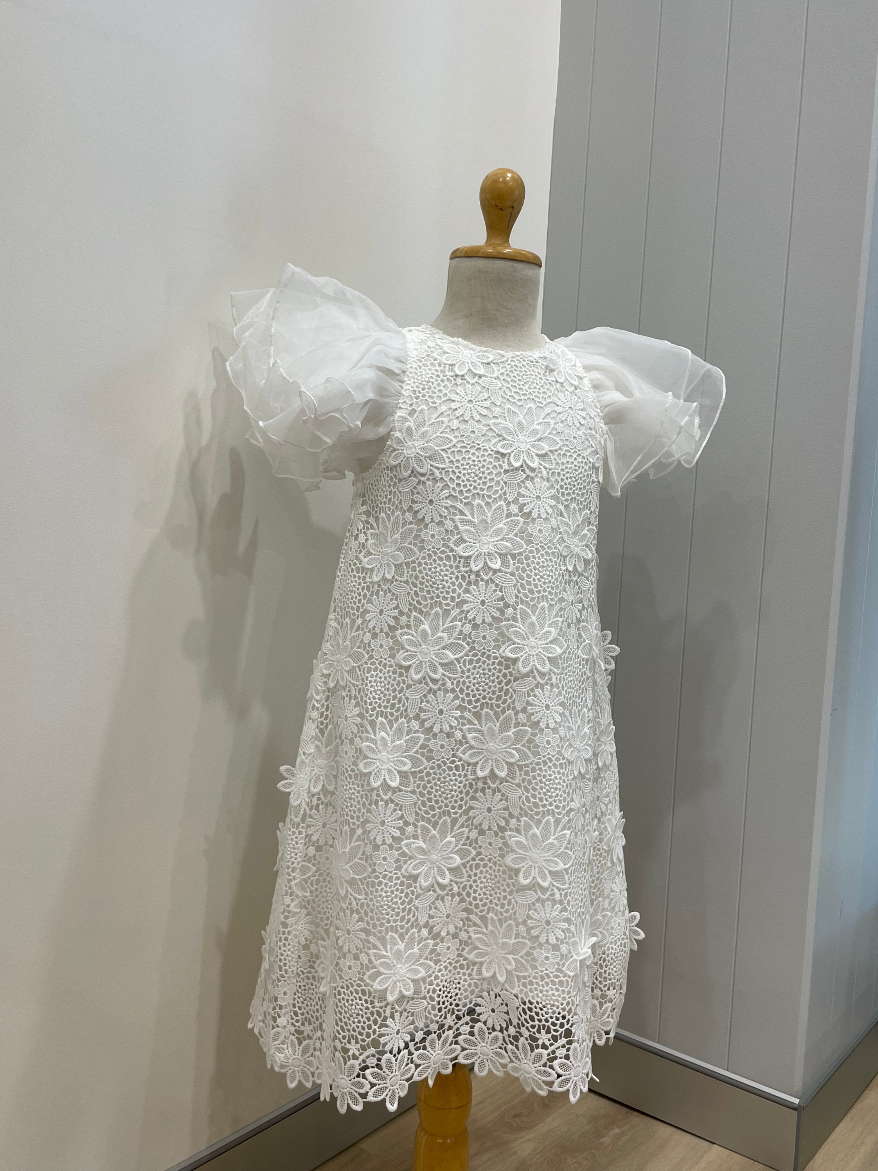 Petite Amalie Lace Dress with Organza Sleeves