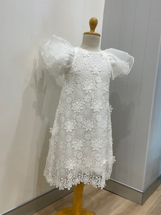 Petite Amalie Lace Dress with Organza Sleeves