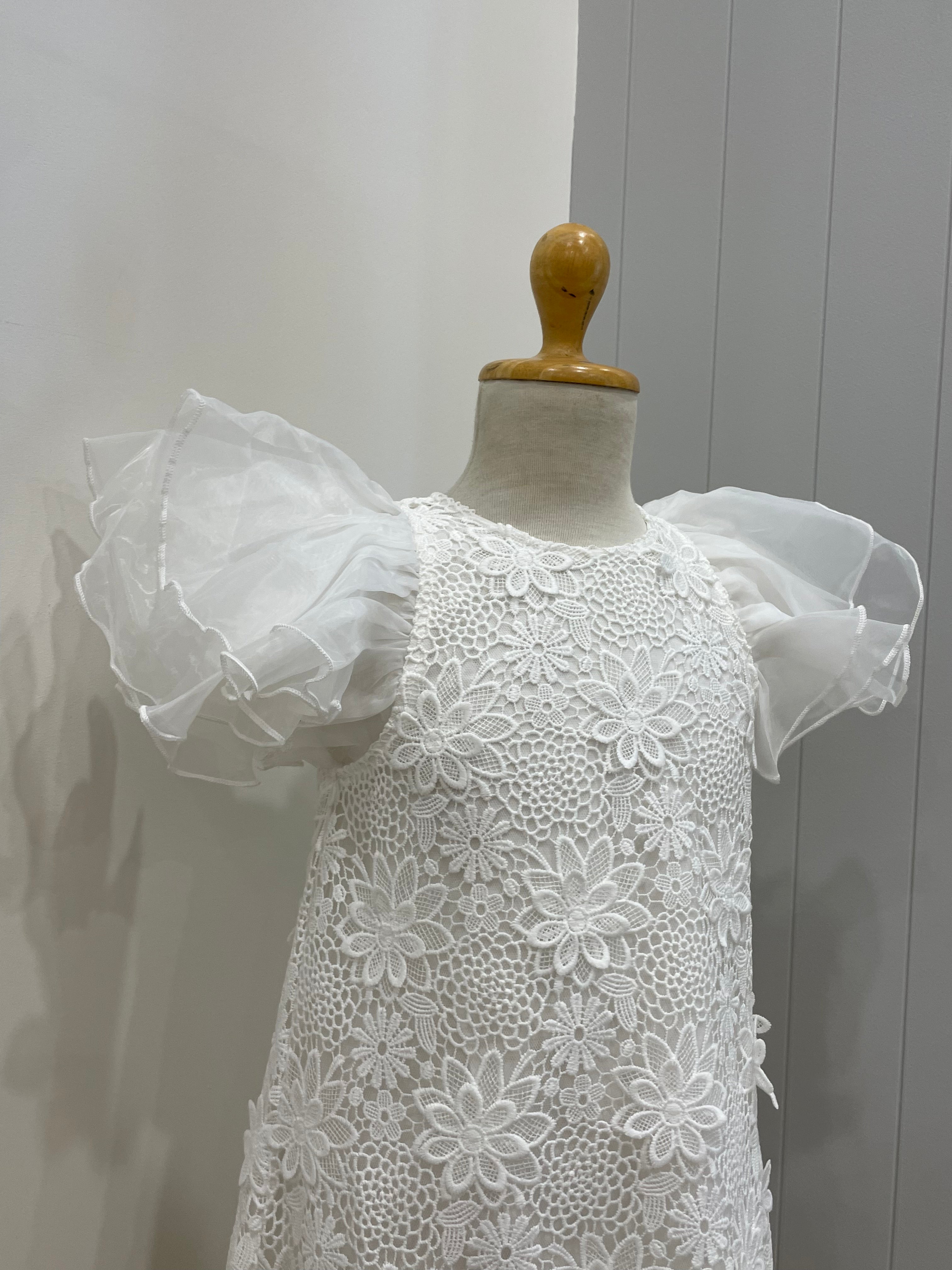 Petite Amalie Lace Dress with Organza Sleeves