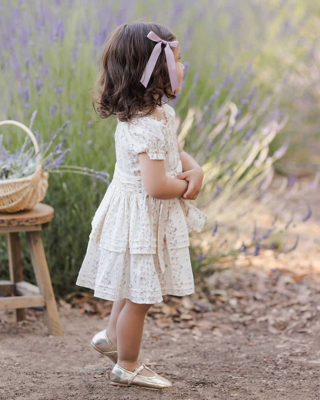 Noralee Annette Dress | Floral Stripe