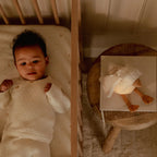 Little Dutch Cuddle Goose Light & Sound