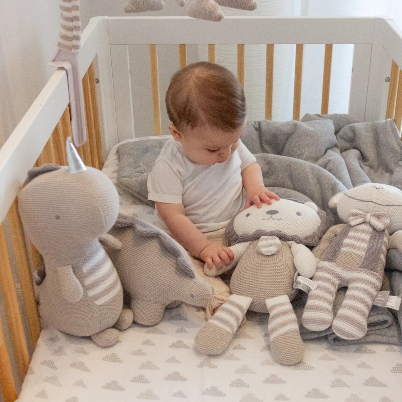 Living Textiles- Austin The Lion